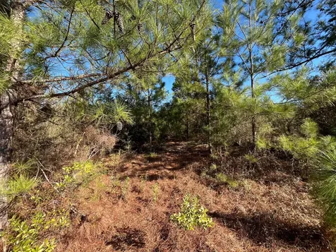 Tbd Fairview Road Marianna FL 32448