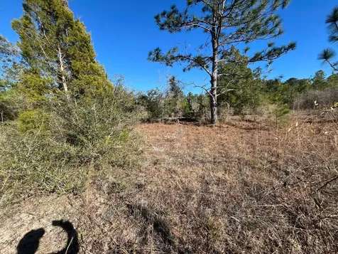 Tbd Fairview Road Marianna FL 32448