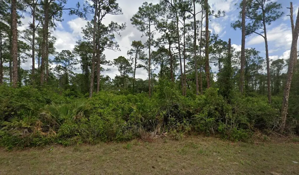 2018 Canton Avenue Alva FL 33920