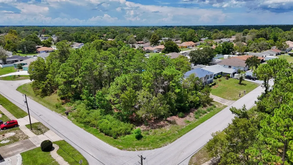 1103 S Timbercrest Road Spring Hill FL 34608