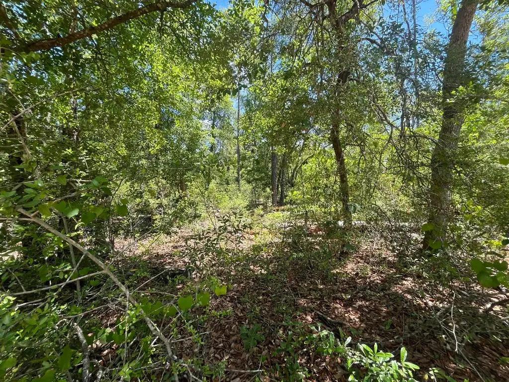 Tbd Tamarac Road Marianna FL 32448