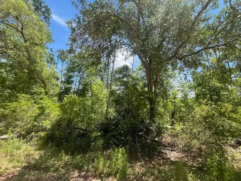 Tbd Tamarac Road Marianna FL 32448