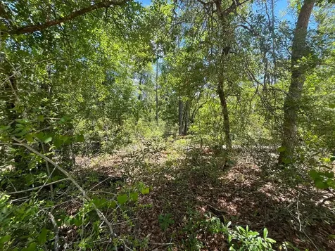 Tbd Tamarac Road Marianna FL 32448