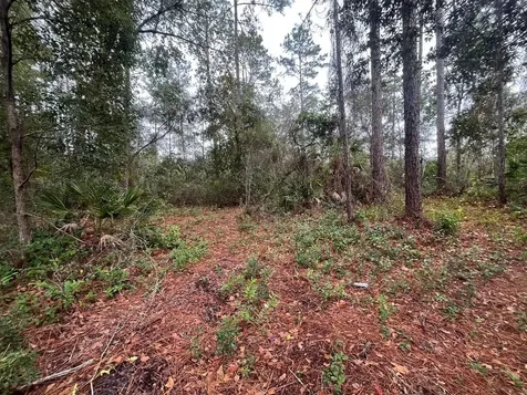 Tbd Susan Street Interlachen FL 32148