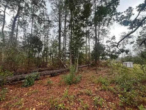 Tbd Susan Street Interlachen FL 32148