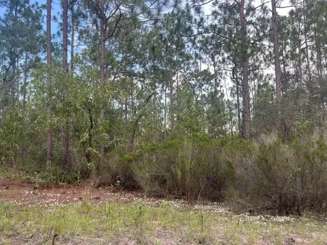 124 New York Avenue Interlachen FL 32148