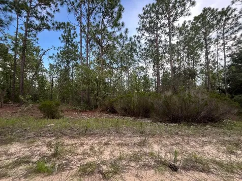124 New York Avenue Interlachen FL 32148