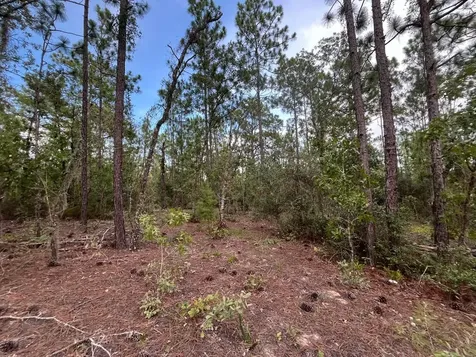 124 New York Avenue Interlachen FL 32148
