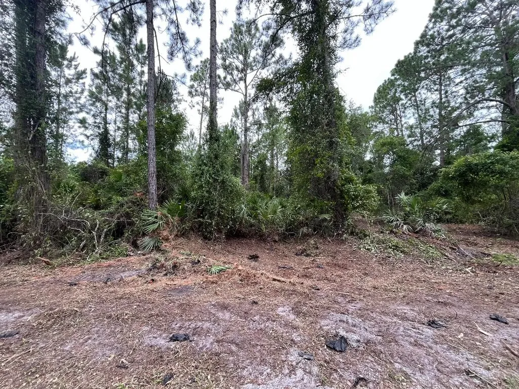 147 Roebuck Street Georgetown FL 32139