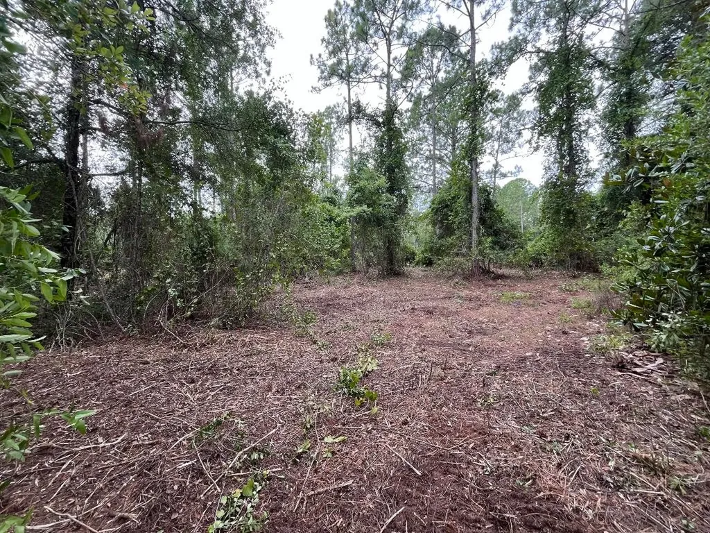 147 Roebuck Street Georgetown FL 32139