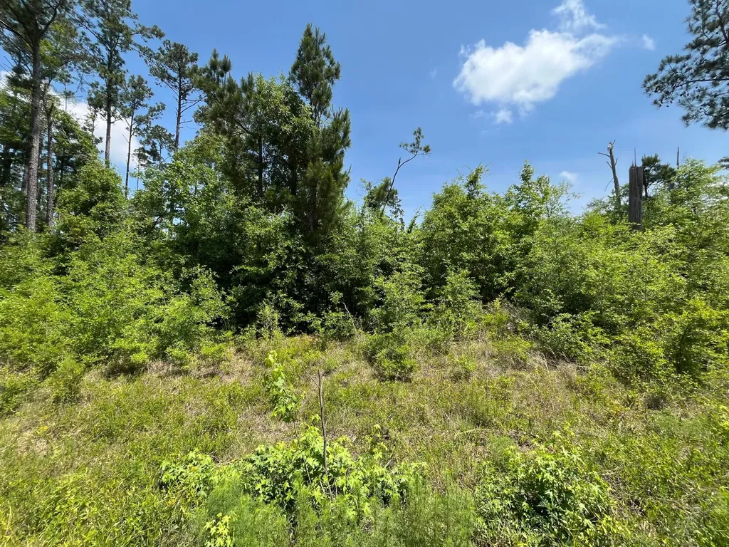 Tbd Grand Quiviera Circle Alford FL 32420