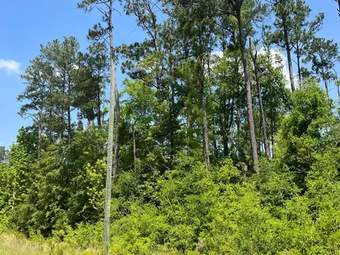 Tbd Grand Quiviera Circle Alford FL 32420