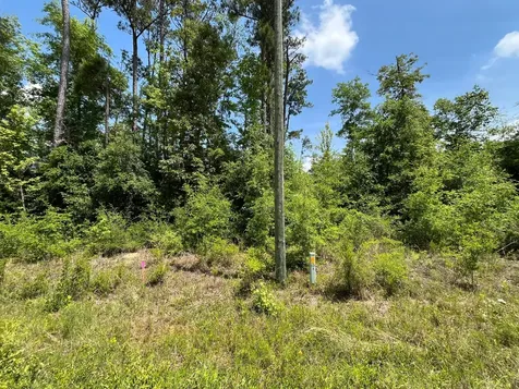 Tbd Grand Quiviera Circle Alford FL 32420