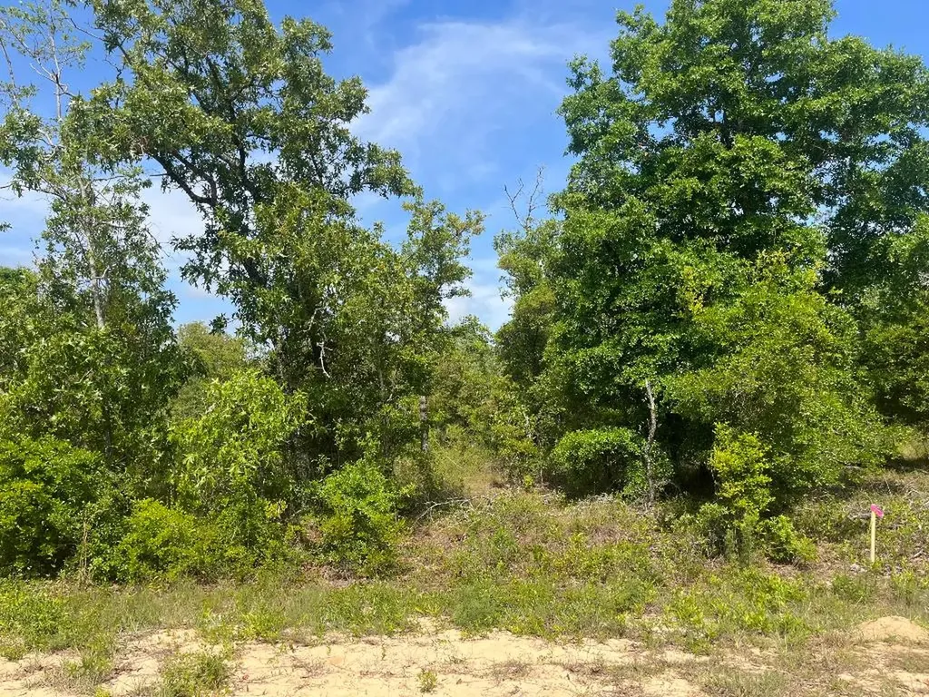 Tbd Rome Avenue Alford FL 32420