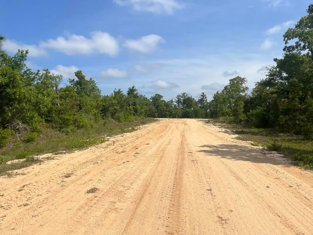 Tbd Rome Avenue Alford FL 32420