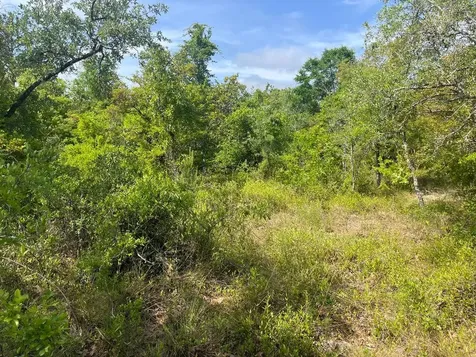 Tbd Rome Avenue Alford FL 32420
