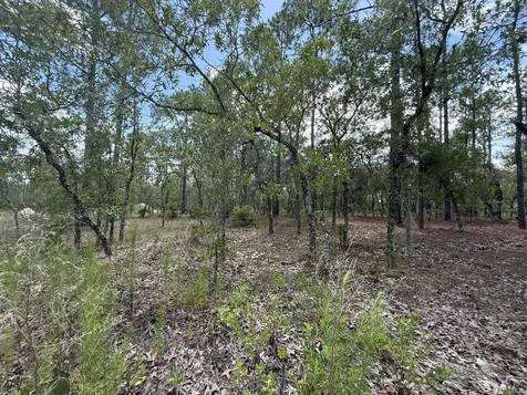Tbd NW Tree Top Road Dunnellon FL 34431