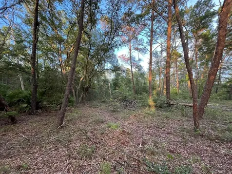 Tbd Twin Lakes Road Interlachen FL 32148