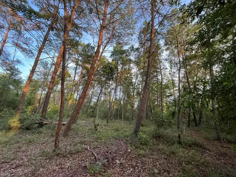 Tbd Twin Lakes Road Interlachen FL 32148