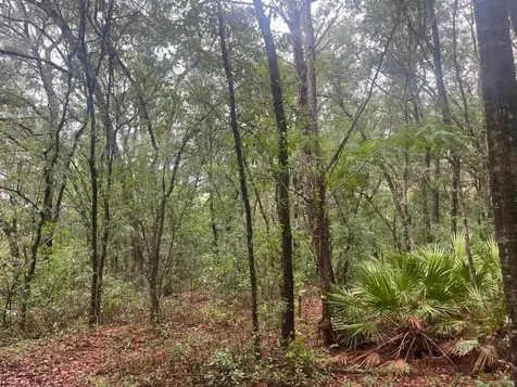 Tbd Delaware Avenue Interlachen FL 32148