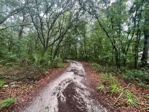 Tbd Delaware Avenue Interlachen FL 32148
