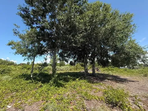 15789 NW 254th Street Okeechobee FL 34972