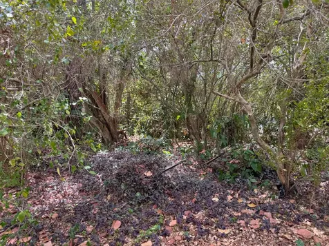 3358 S Jog Road Greenacres FL 33467