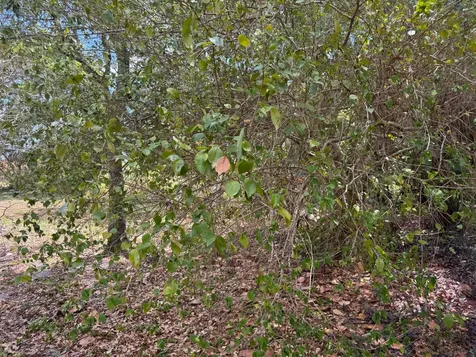 3358 S Jog Road Greenacres FL 33467