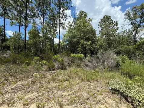 187 Paris Street Interlachen FL 32148