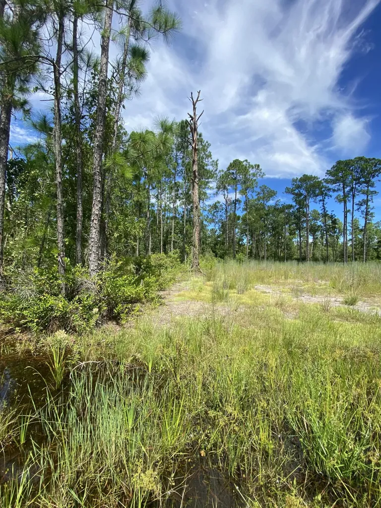 418 Gaillardia Drive Lake Wales FL