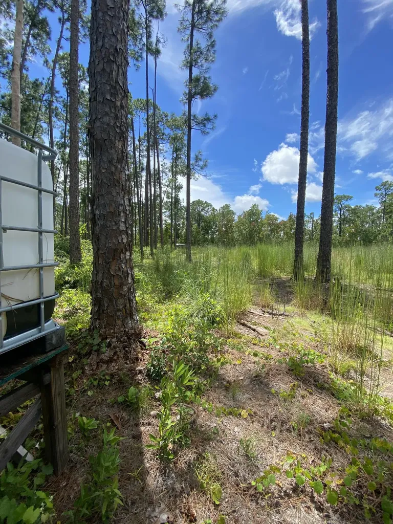 418 Gaillardia Drive Lake Wales FL