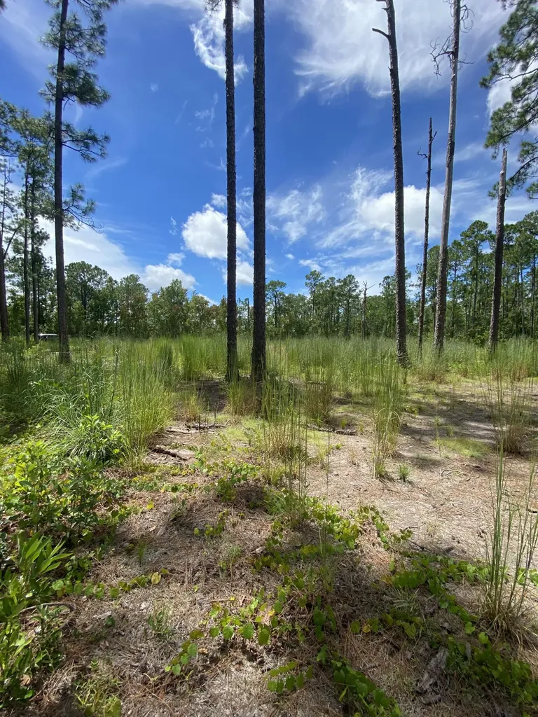 418 Gaillardia Drive Lake Wales FL