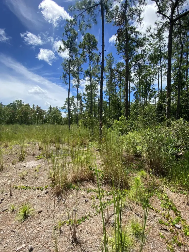 418 Gaillardia Drive Lake Wales FL
