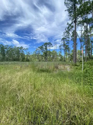 418 Gaillardia Drive Lake Wales FL