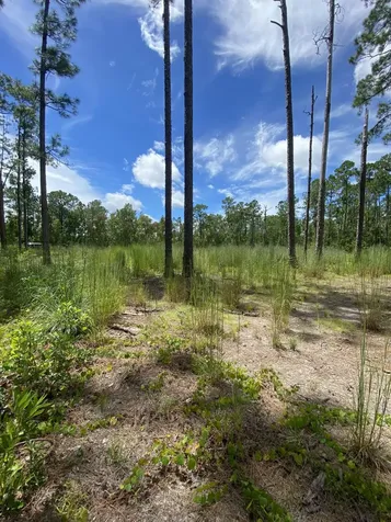 418 Gaillardia Drive Lake Wales FL