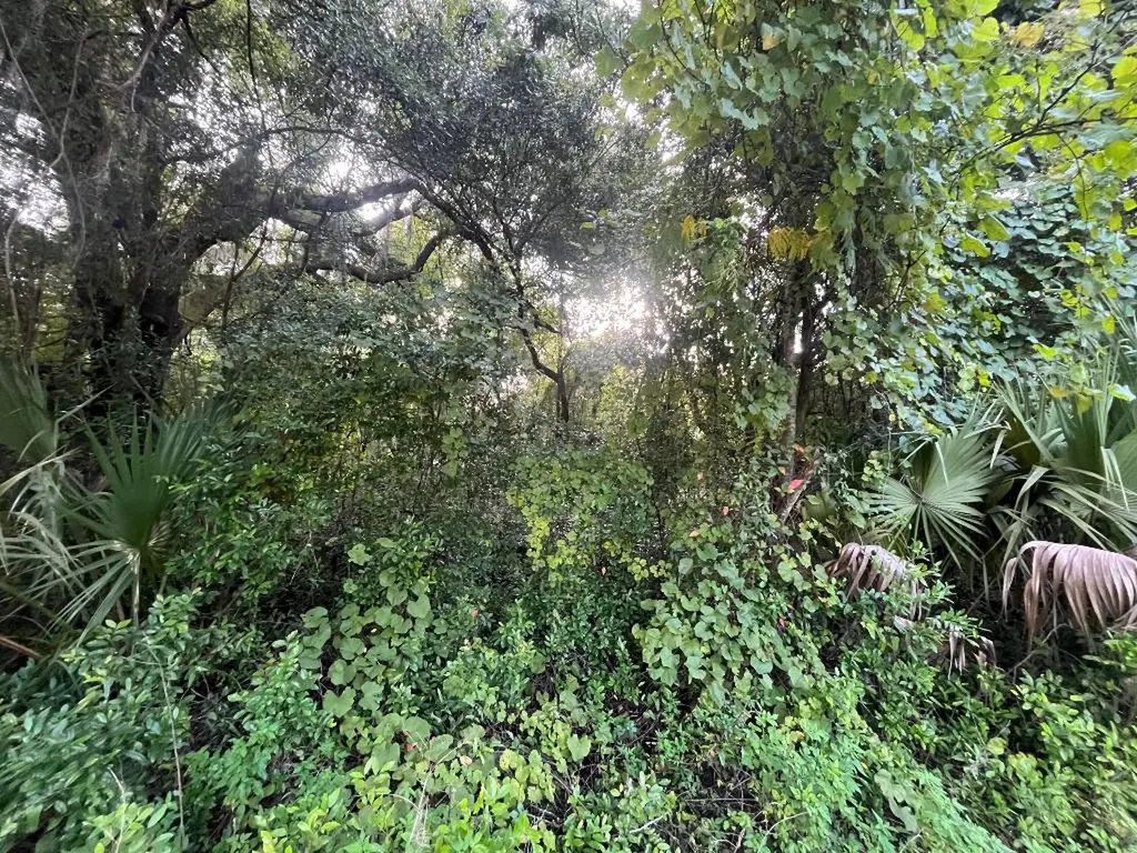 915 Annette Avenue Interlachen FL 32148