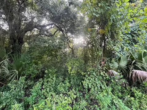 915 Annette Avenue Interlachen FL 32148