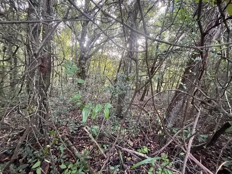 915 Annette Avenue Interlachen FL 32148