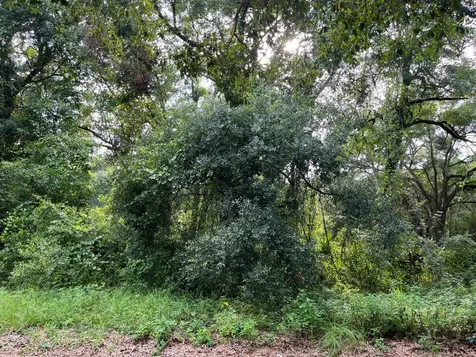 305 Milton Avenue Interlachen FL 32148