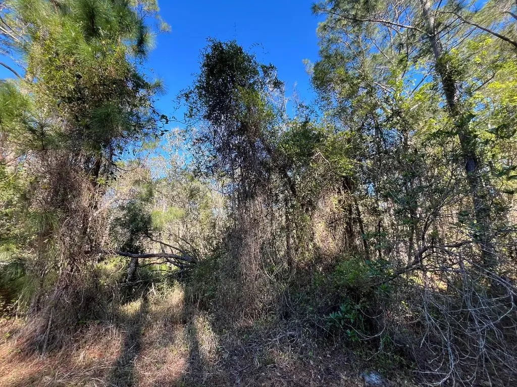 208 SE 3rd Street Georgetown FL 32139