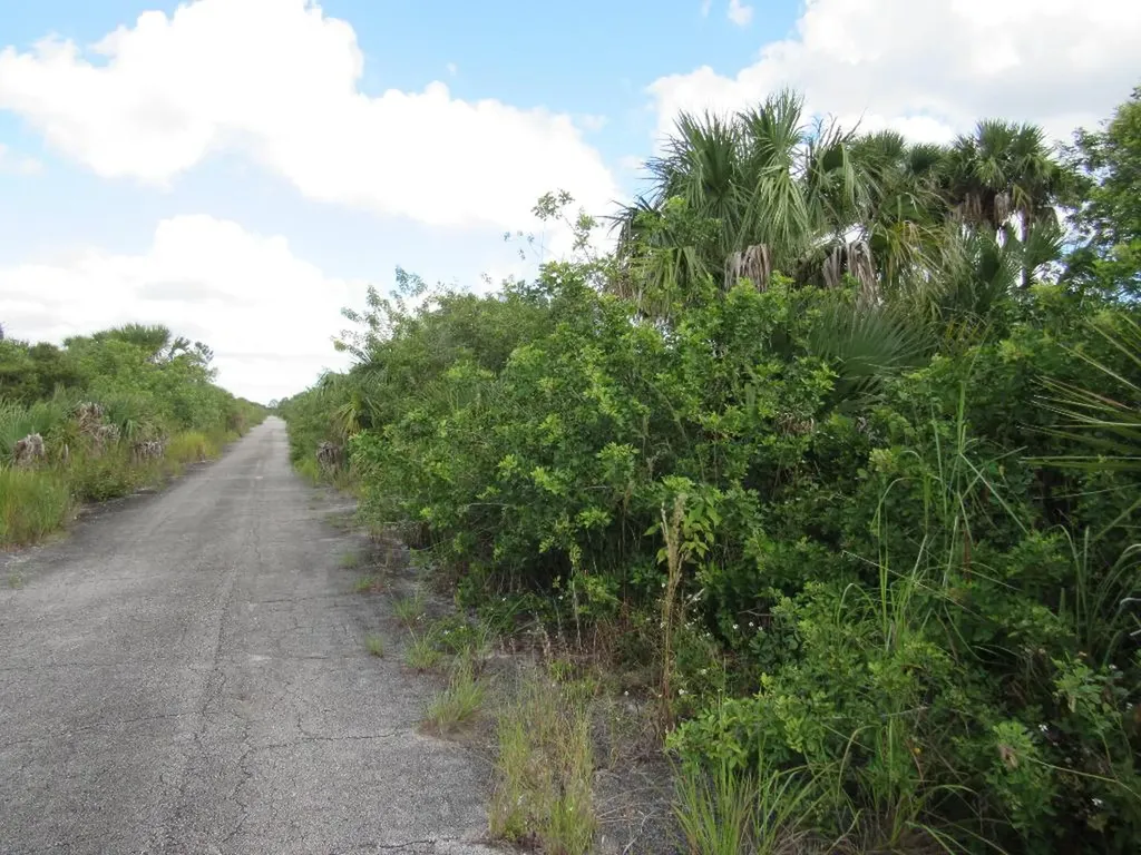 3362 Anhinga Avenue SW Palm Bay FL 32908