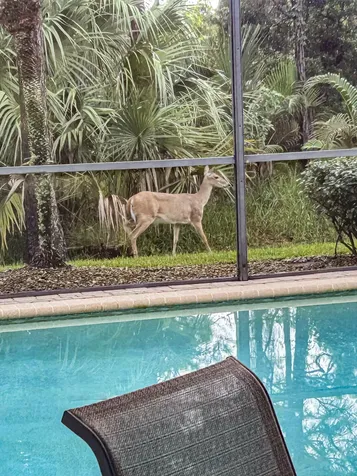 6871 SE Twin Oaks Circle Stuart FL 34997