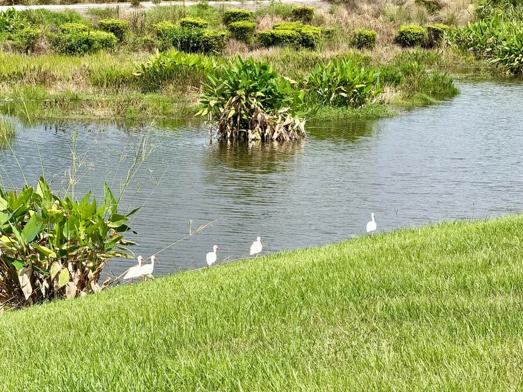 137 SE Mira Lavella Port St Lucie FL 34984
