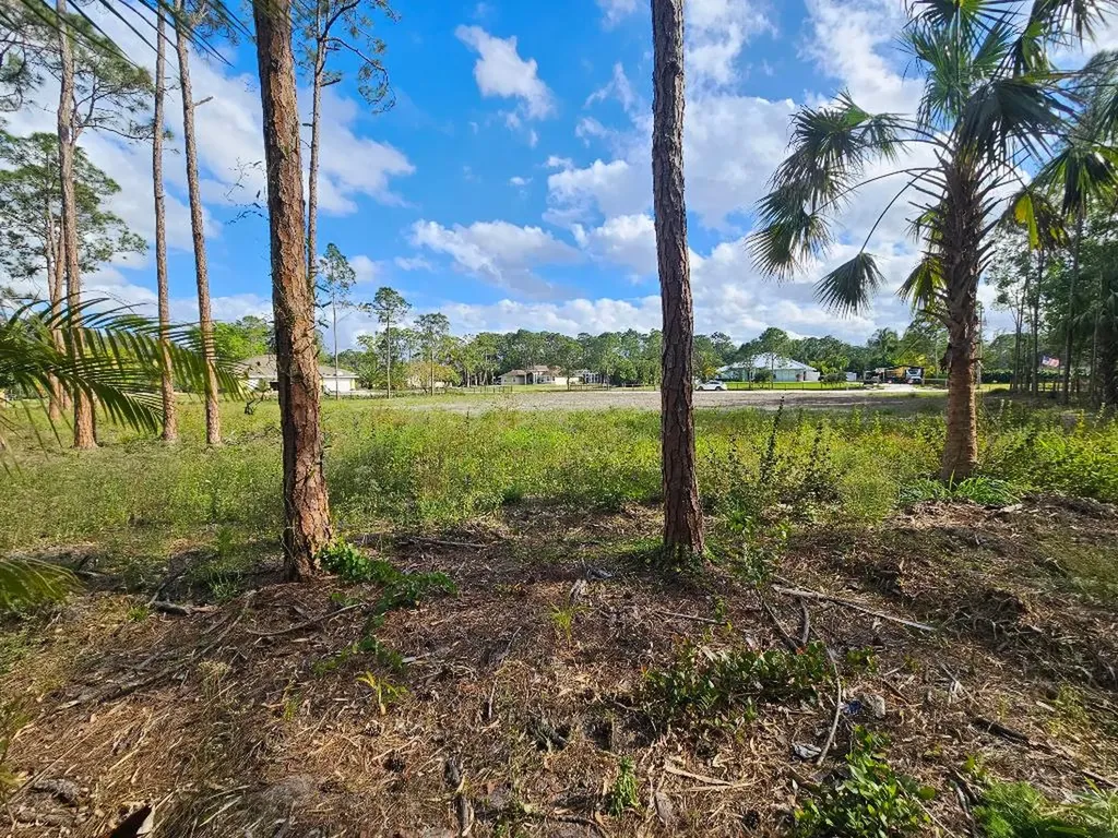 Xxxxx 82nd Lane N The Acreage FL 33470