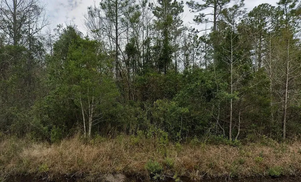 4220 Isaac Street Hastings FL 32145
