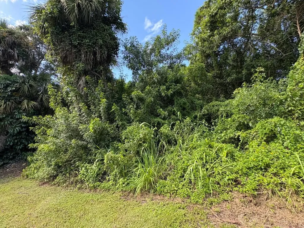 Tbd Santa Clara Boulevard Port St Lucie FL 34951