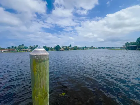 7306 Clarke Road Lake Clarke Shores FL 33406