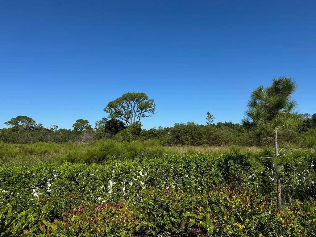 13105 Monte Rosa Court Palm Beach Gardens FL 33412