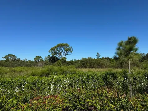 13105 Monte Rosa Court Palm Beach Gardens FL 33412