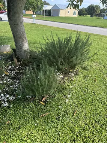 1592 SE Burning Court Port St Lucie FL 34952